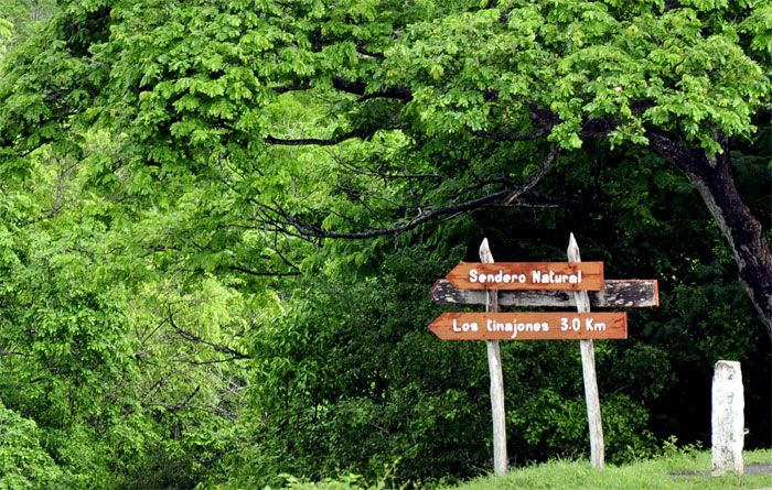 Rinde fruto Programa Nacional de Lucha contra la Desertificación y la Sequía en Guantánamo