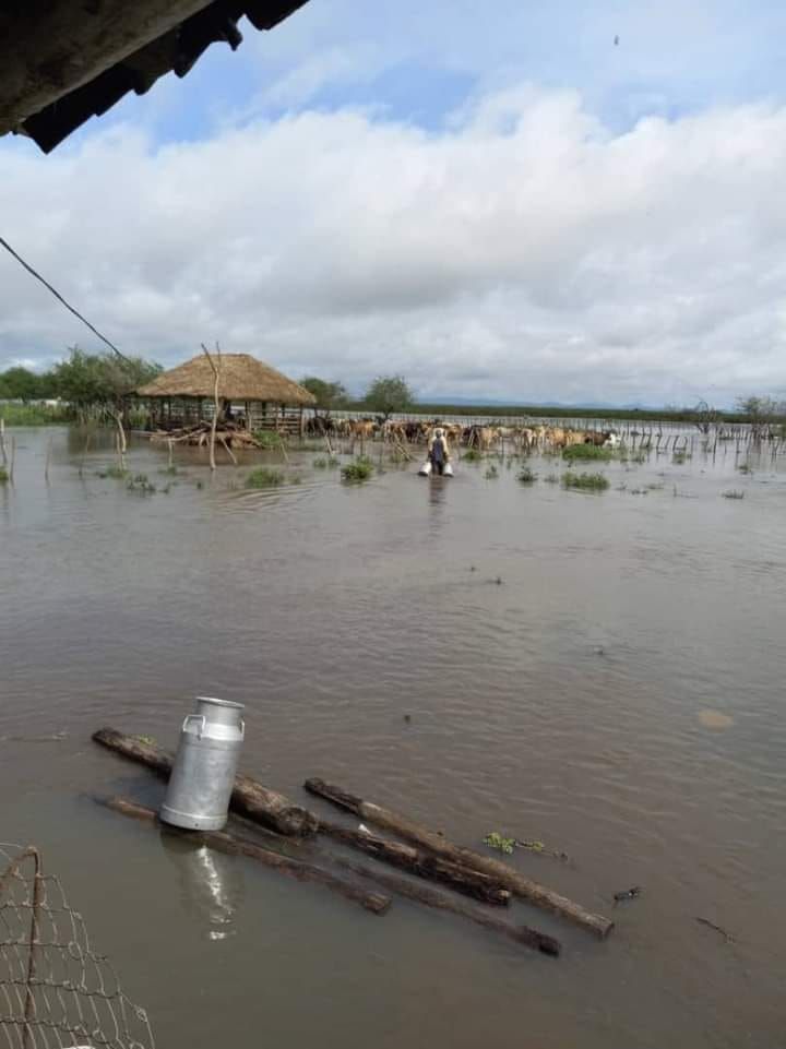 Pinar del Río pone manos a la recuperación con el cese de la lluvia y el descenso de las aguas
