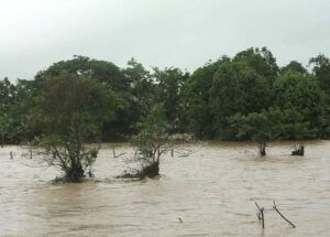 Cuba, Pinar del Río, afectaciones, intensas lluvias, junio, 2022, MINAG, recuperación, informe