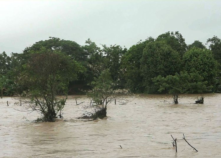 Cuba, Pinar del Río. Afectaciones del sistema de la Agricultura por intensas lluvias a principios de junio