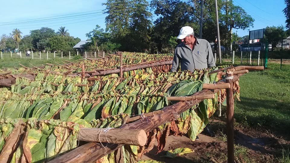 Pinar del Río, pone manos a la recuperación con el cese de la lluvia y el descenso de las aguas, junio, 2022