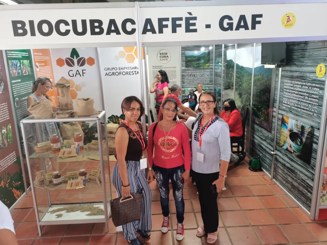 Otorgan a Cuba certificación orgánica internacional del café
