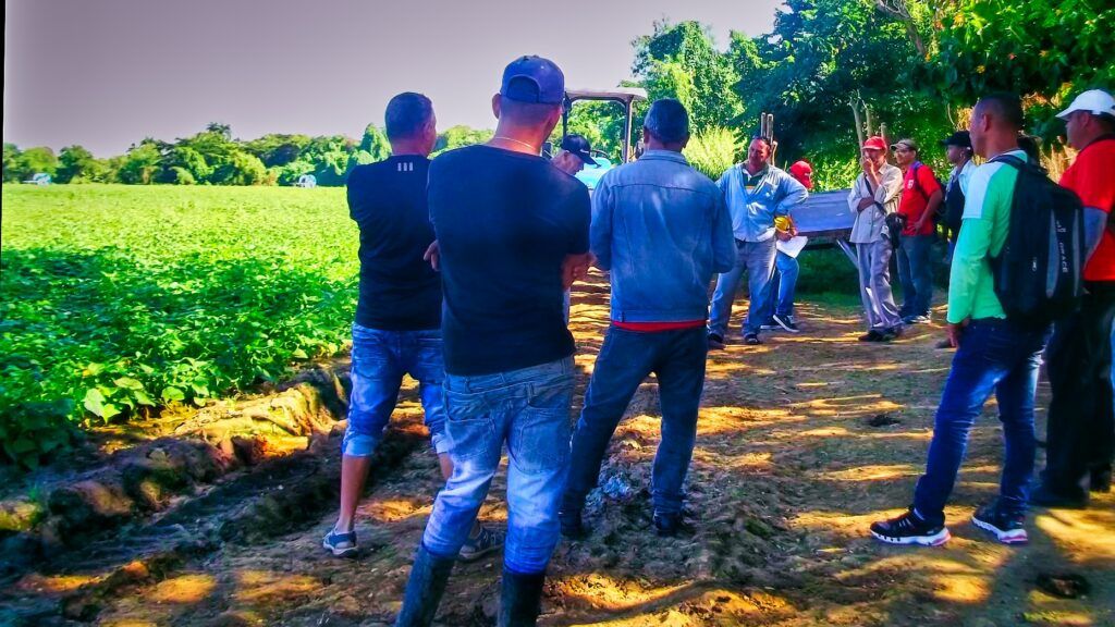 Actualización del proceso de Colectivos Laborales en el Ministerio de la Agricultura
