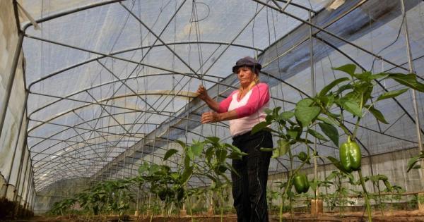 FAO y Cuba cooperan por soberania alimentaria
