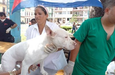 Feria de Bienestar Animal en el parque Trillo