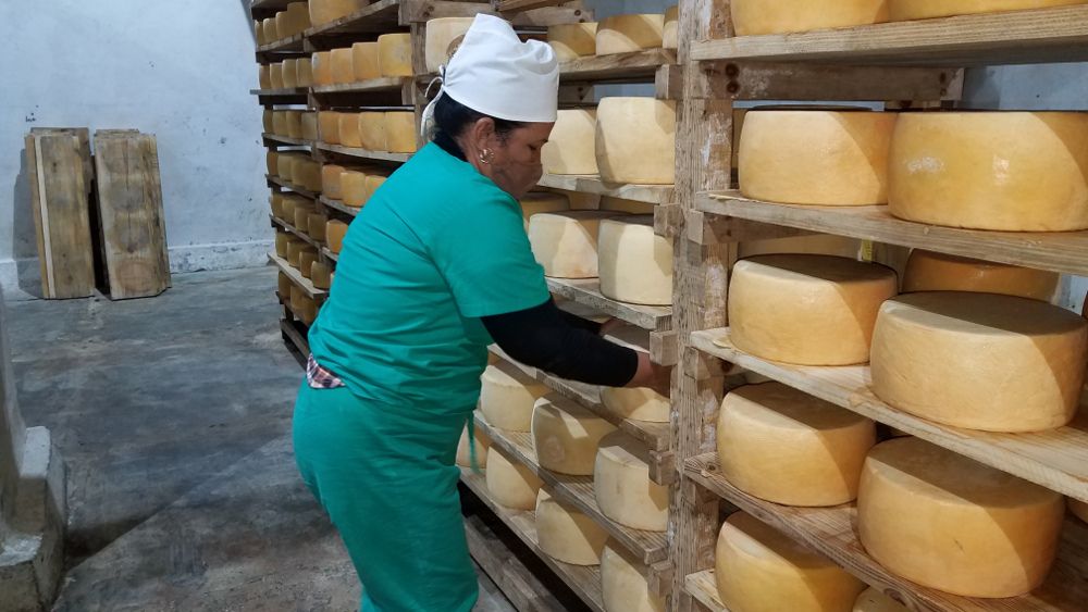 Modernizacion de la Fabrica de Quesos de Sibanicu