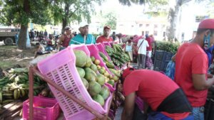 Recorre Funcionarios del Ministerio de la Agricultura Municipio Diez de Octubre Recorre Funcionarios del Ministerio de la Agricultura Municipio Diez de Octubre