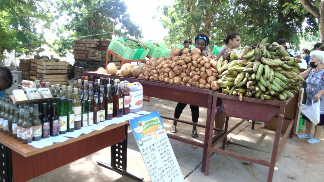 Recorrido Diez de Octubre 17