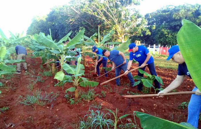 Trabajo Voluntario Granja Agropeuaria 16 de abril, Amanecer en el surco, la primera línea
