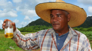Alejandro Escalona Tamayo –campesino usufructuario asociado a la Unidad Básica de Producción Cooperativa en Isla de la Juventud Alejandro Escalona Tamayo –campesino usufructuario asociado a la Unidad Básica de Producción Cooperativa en Isla de la Juventud