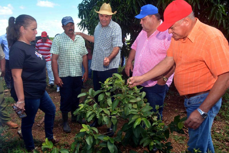 Cienfuegos, 24 ago (ACN) Félix Duarte Ortega, miembro del Secretariado del Comité Central del Partido Comunista de Cuba y jefe del Departamento Agroalimentario, e Ydael Pérez Brito, ministro de la Agricultura, evaluaron el desarrollo de los colectivos laborales en polos productivos de la provincia de Cienfuegos.