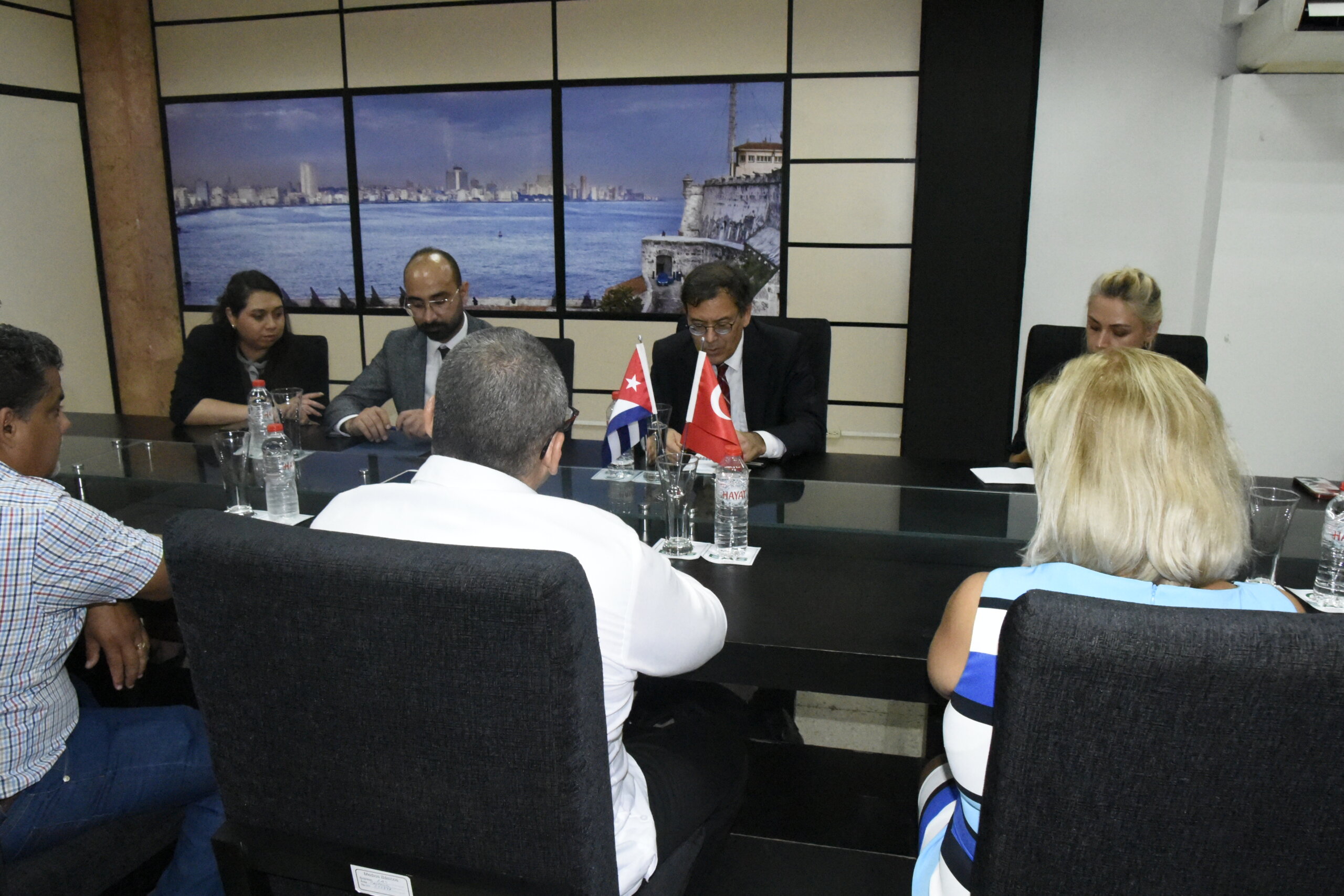 Recibe el Viceministro de la Agricultura al Embajador de Turquía en Cuba,