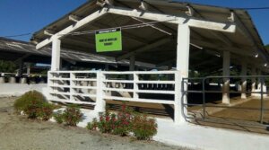 Granja genética El Abra. / Foto Tay Toscano
