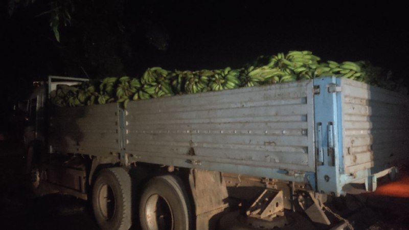 Productos agricolas 1