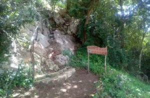Sierra de Las Damas .jpg 2 foto xiomara