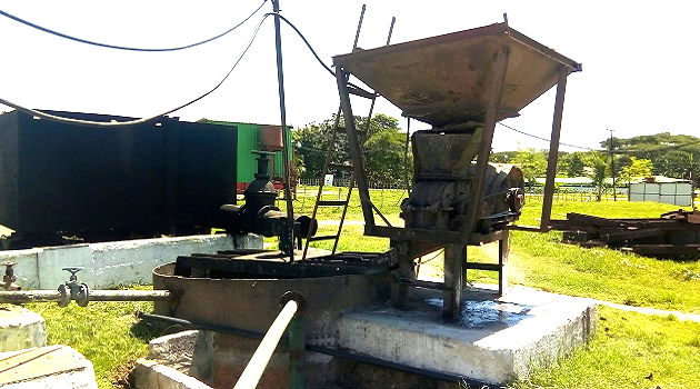 Unidad Empresarial de Base (UEB) Producción de alimento animal, perteneciente a la Empresa Pecuaria El Tablón, de Cumanayagua,