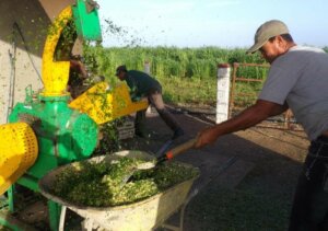 Las acciones para reducir el consumo eléctrico en el campo no solo son válidas, sino también imprescindibles Las acciones para reducir el consumo eléctrico en el campo no solo son válidas, sino también imprescindibles