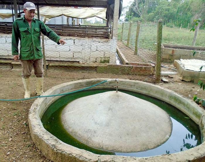 El uso del biogás en procesos de cocción de alimento humano y animal permite la reducción del consumo de electricidad, sobre todo en viviendas, en un 30% como mínimo, en dependencia de los hábitos en cada familia. Foto: Ronald Suárez Rivas