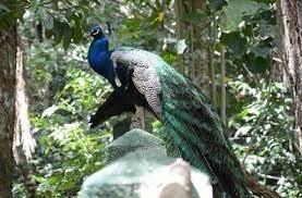 Turismo de naturaleza