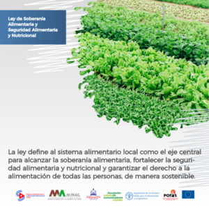 Talleres de formación de capacidades en los organismos de la administración central del estado y entidades nacionales más vinculados a la soberanía alimentaria y educación nutricional, 