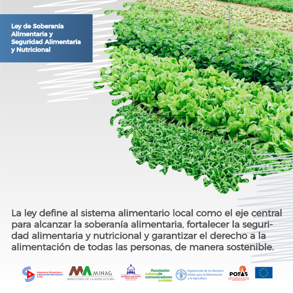 Talleres de formación de capacidades en los organismos de la administración central del estado y entidades nacionales más vinculados a la soberanía alimentaria y educación nutricional,