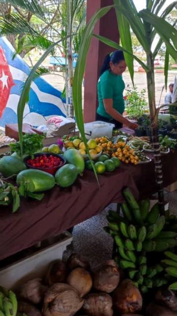 Exposicion de Viandas Frutas y Vegetales