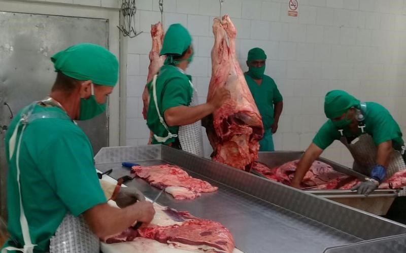Procesadora de carne 1