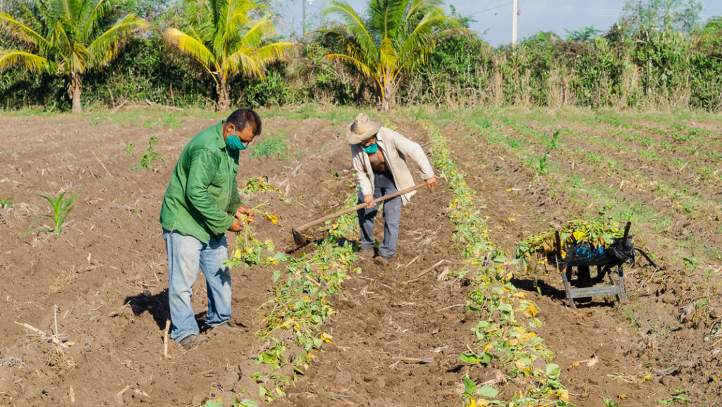Campaña de frío en Camagüey