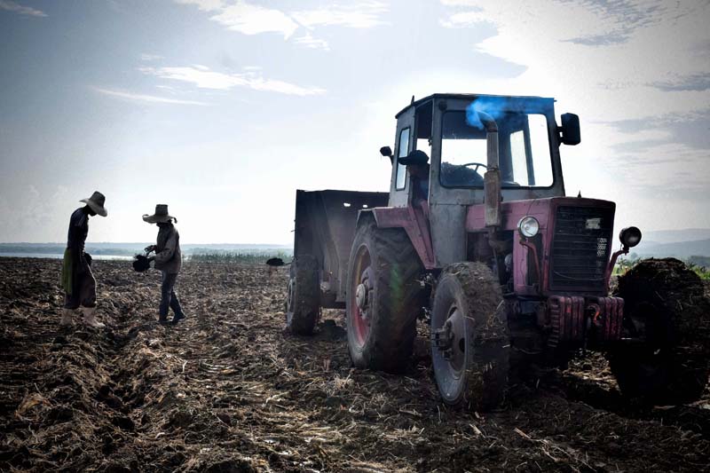 Preparación de la tierra con materia orgánica en el Polo Productivo Ramón 2, en el municipio de Cueto.