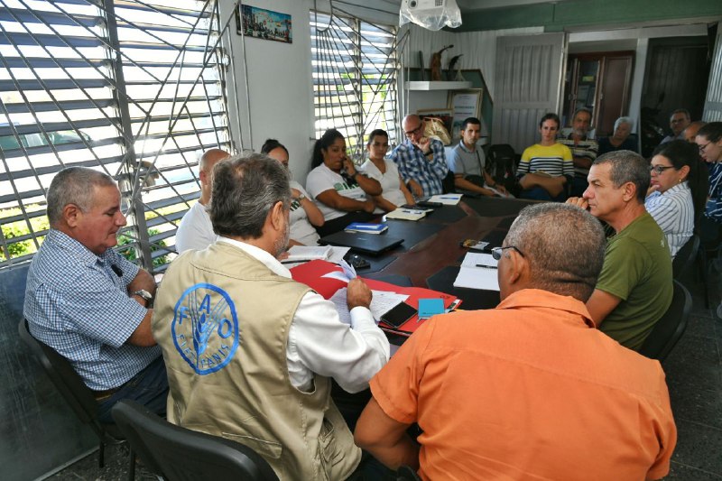 0510 Fao Pinar Rio1. Ministerio de la Agricultura de Cuba