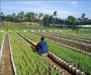IAGRIC IAGRIC