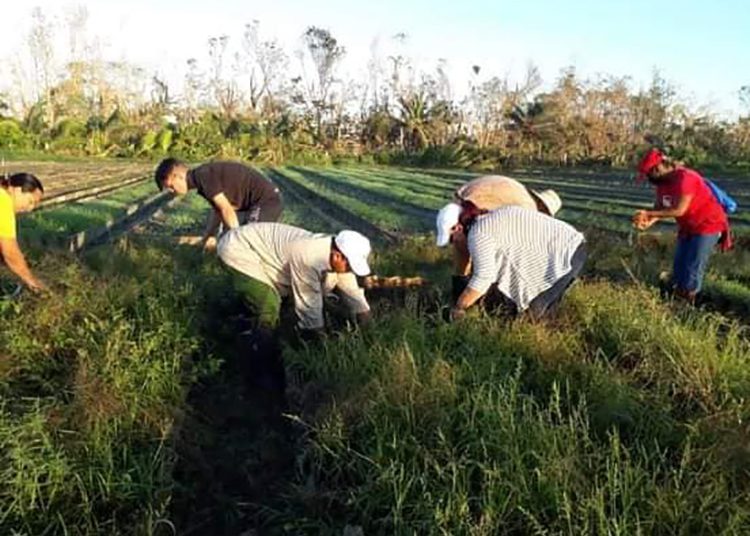 Ministerio de la Agricultura en Pinar del Río
