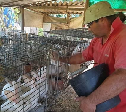 braG4V 18 12 2020 14.12.01.000000. Ministerio de la Agricultura de Cuba