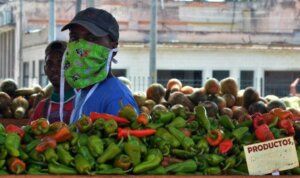 Foto: Ricardo López Hevia