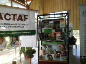 ACTAF
