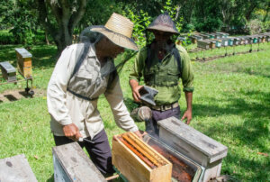 apicultores Foto La demajagua