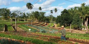 finca marta 1 750x375 1