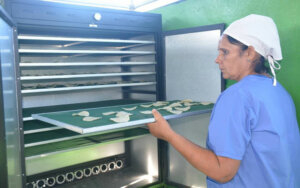 minindustria 13 marzo equipamiento produccion minindustria 13 marzo equipamiento produccion