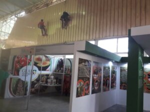 pabellon