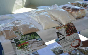 producciones alimentos cooperativa domingo lara producciones alimentos cooperativa domingo lara