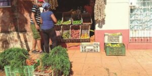 productos agropecuarios