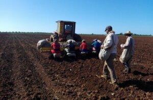 1215 tierra roja