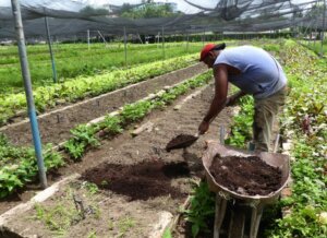 Agricultura