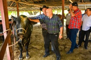 Chequea VPM Tapia Fonseca Ganaderia en Holguin