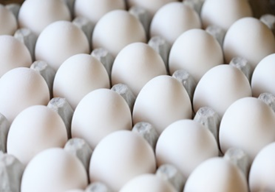 Huevos