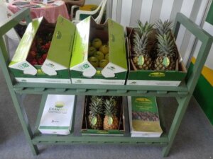 Productos para Exportacion