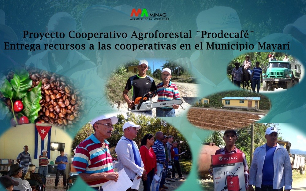 Proyecto PRODECAFE