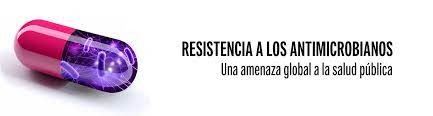 antimicrobianos