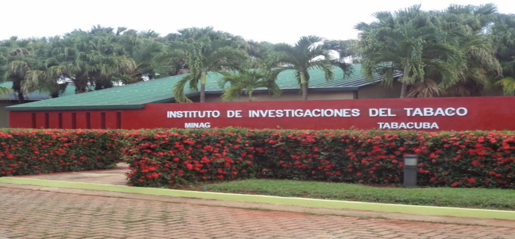 instituto