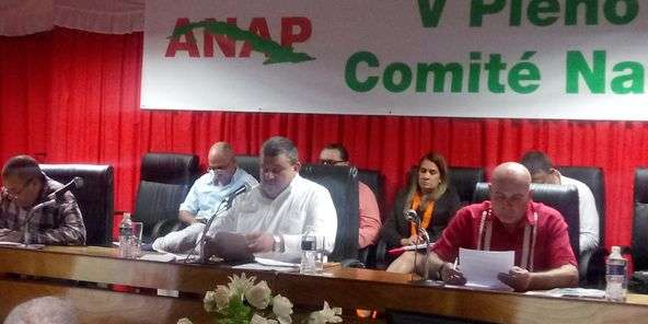 pleno anap